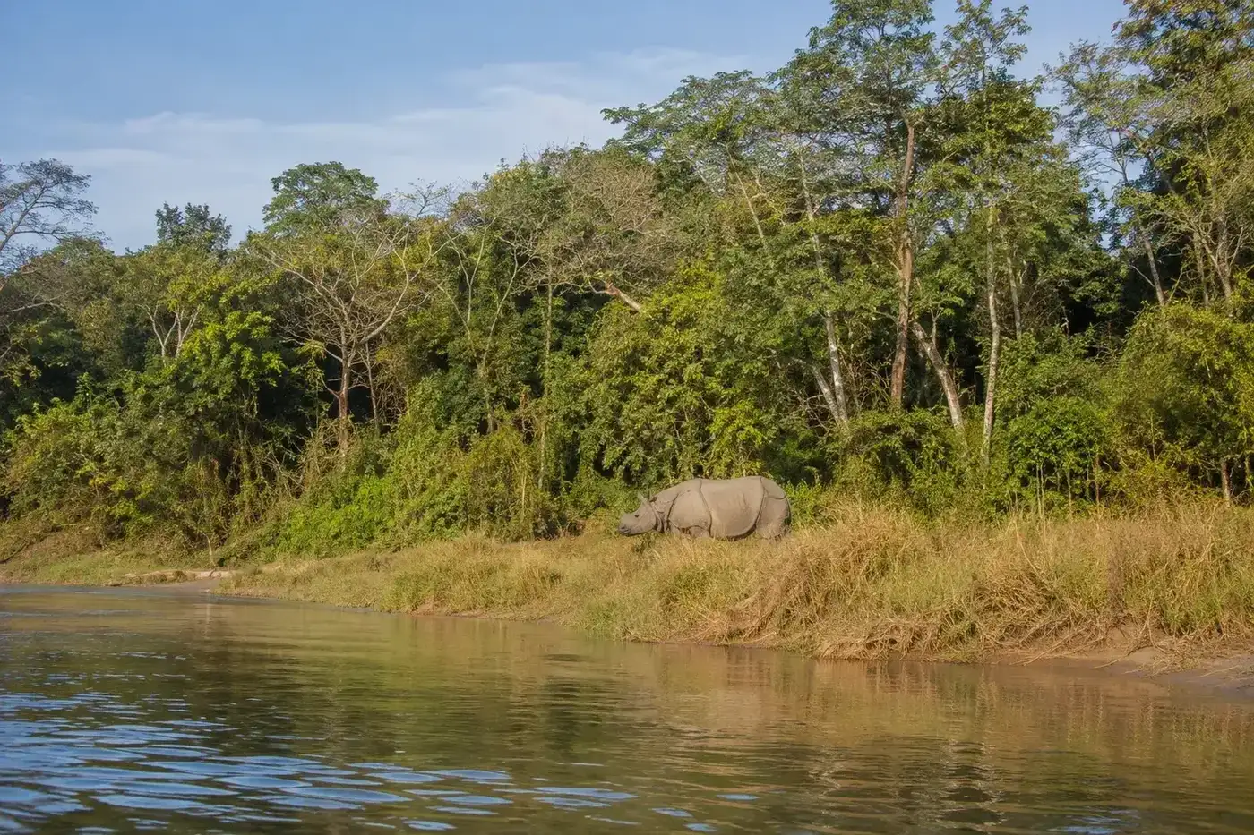 Chitwan
