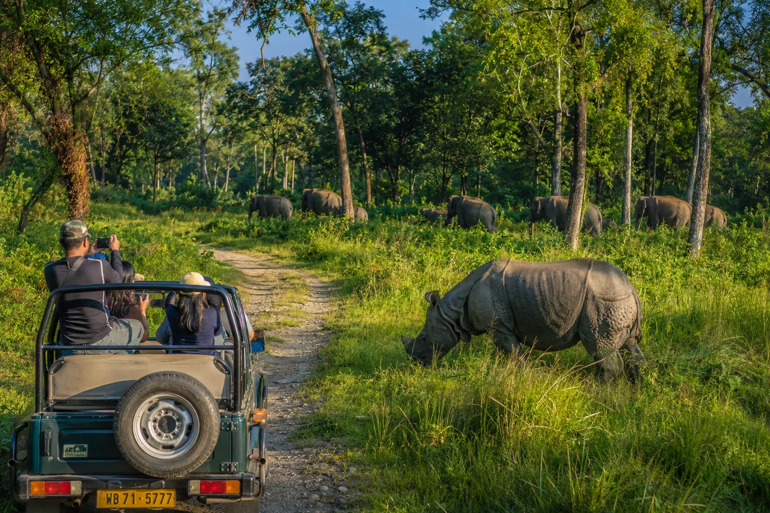 Jeep safari through the forest of the Dooars