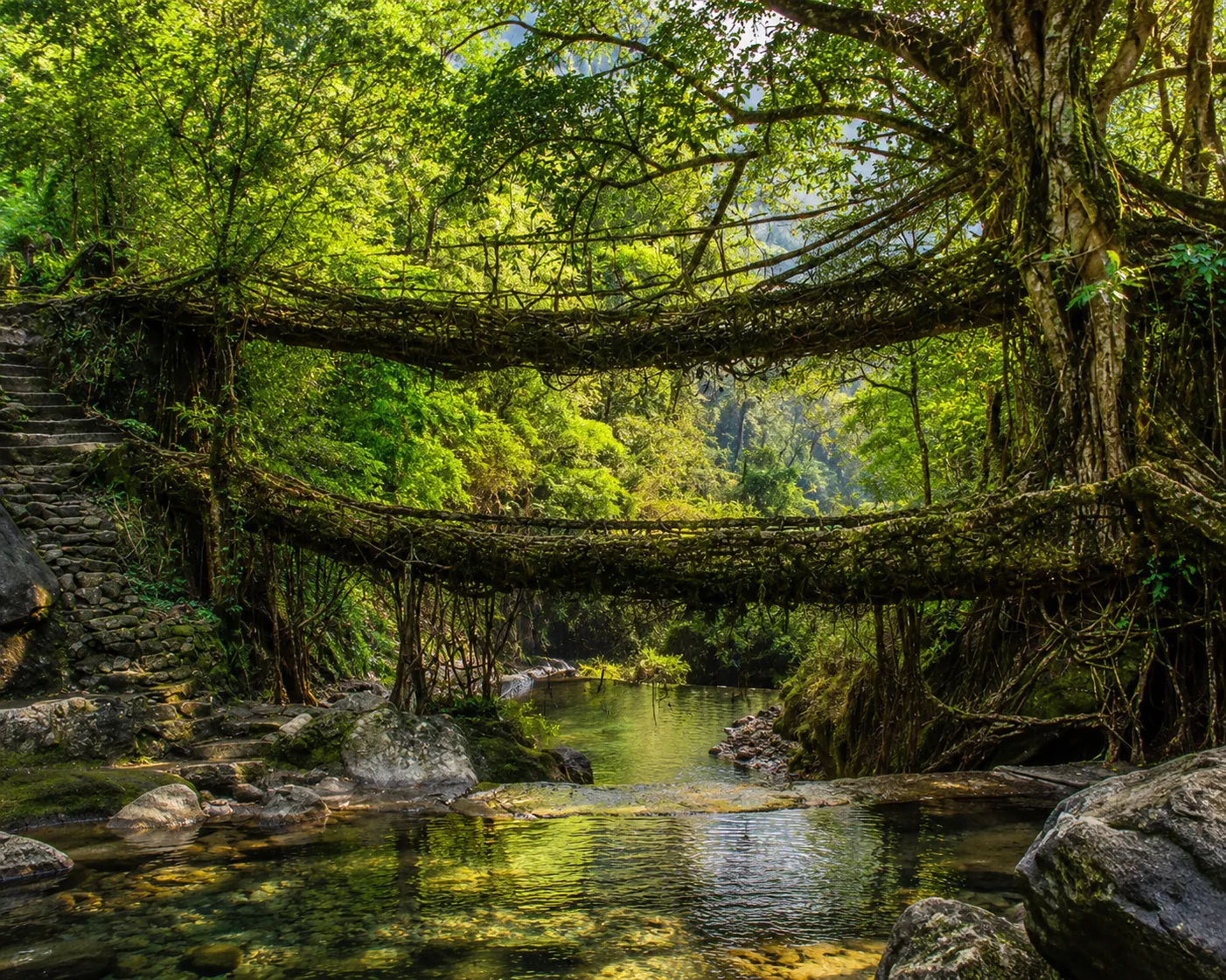 Double-decker living root bridge at Nongriat, Meghalaya