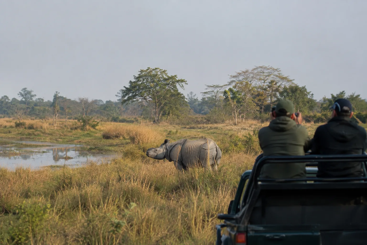 Kaziranga