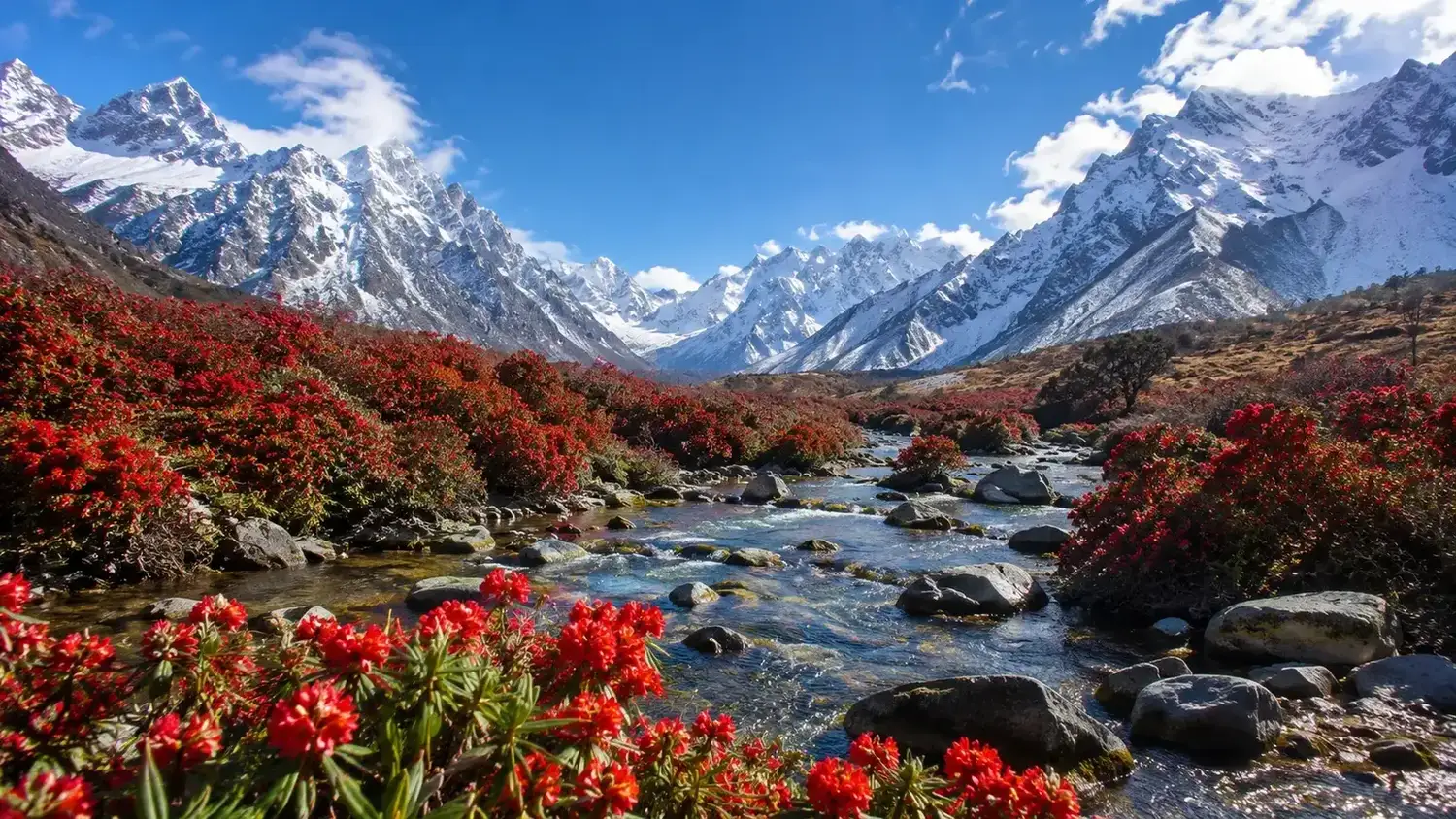 Sikkim