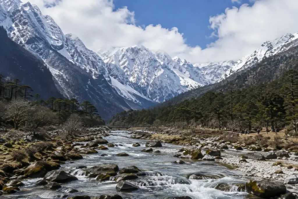 Yumthang Valley Sikkim