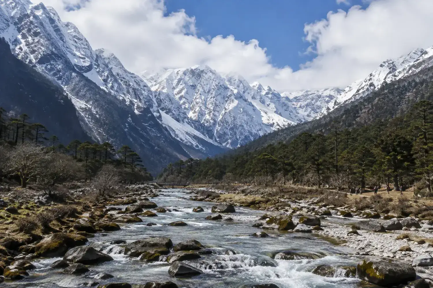 Yumthang Valley
